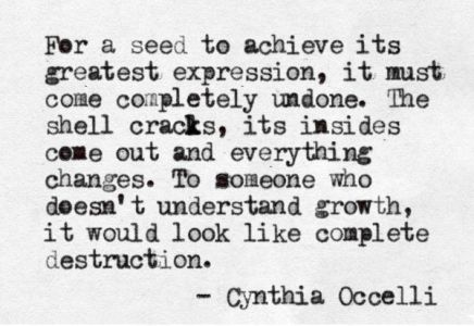 For-a-seed-to-achieve-its-greatest-expression-it-must-come-completely-undone.-The-shell-cracks-its-insides-come-out-and-everything-changes.-To-someone-...-Cynthia-Occelli